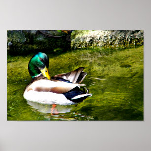 Poster Just Wondering_