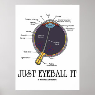 Poster Juste Eyeball It (Eye Anatomy Approximation Dit)