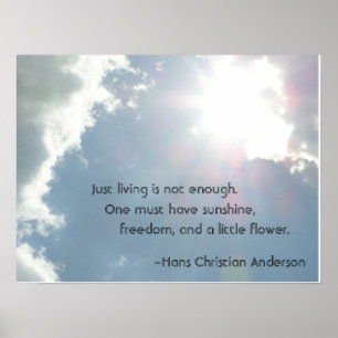 Poster Juste la vie n'est pas assez