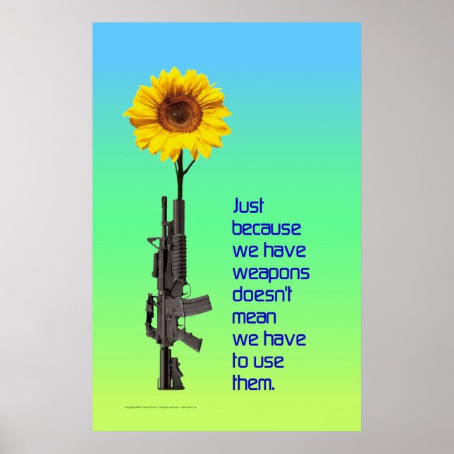 Poster Juste Parce Que Nous Avons Des Armes... (Devant)