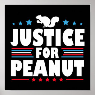 Poster Justice pour Peanut l'écureuil