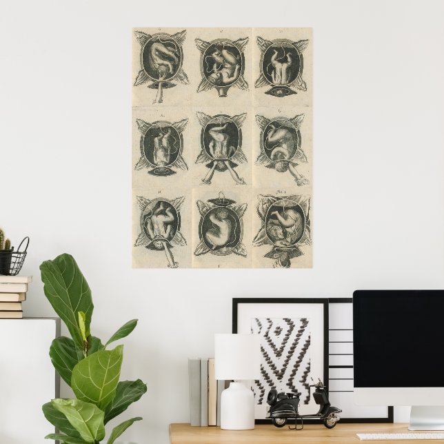 Poster Justine Siegemund Cour sage-femme naissance bébé e (Bureau à domicile)