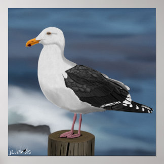 Poster jz.birds Möwe