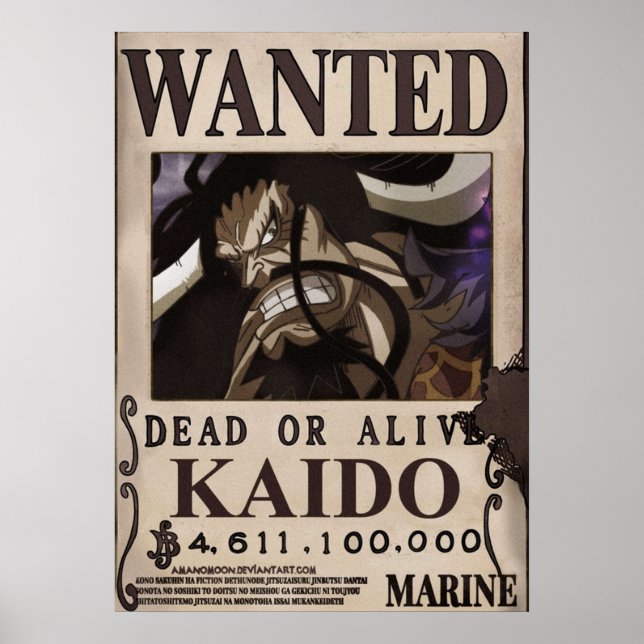 Poster Kaido Recherché Bounty (Devant)