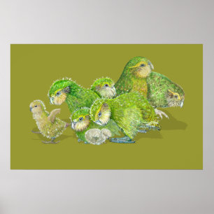 Poster Kakapo Chick Creche