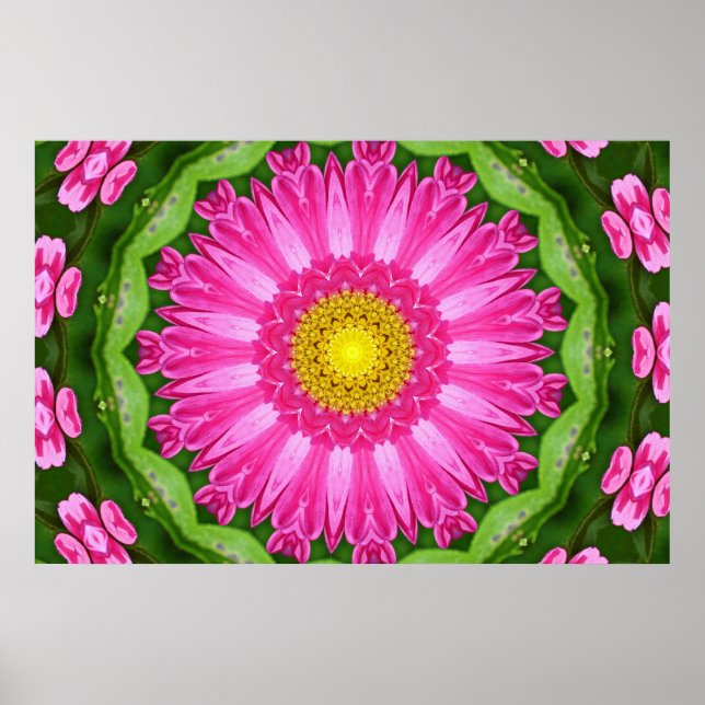Poster Kaleidoscope Aster (Devant)