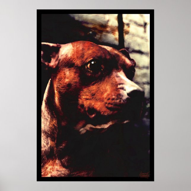 Poster Kali Tree (Devant)