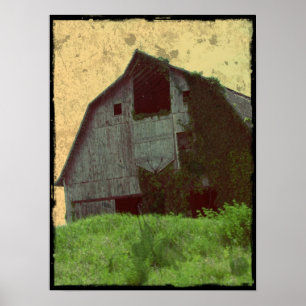 Poster Kalona Barn et Ivy
