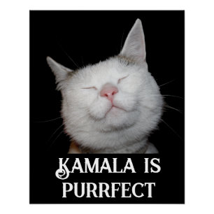 Poster Kamala est parfait