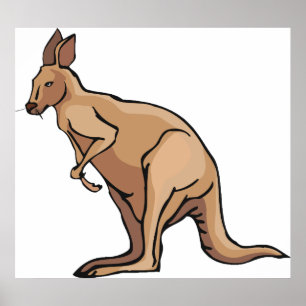 Poster Kangaroo