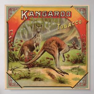Poster Kangaroo Tobacco 1900