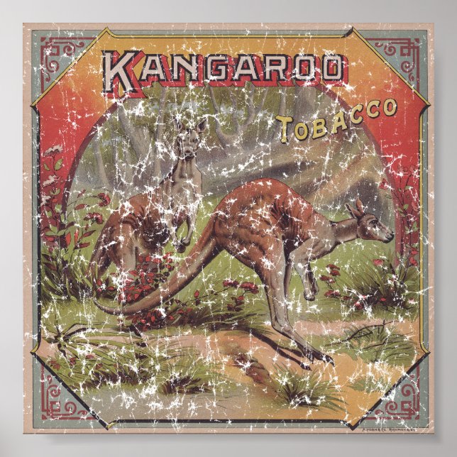 Poster Kangaroo Tobacco 1900 en détresse (Devant)