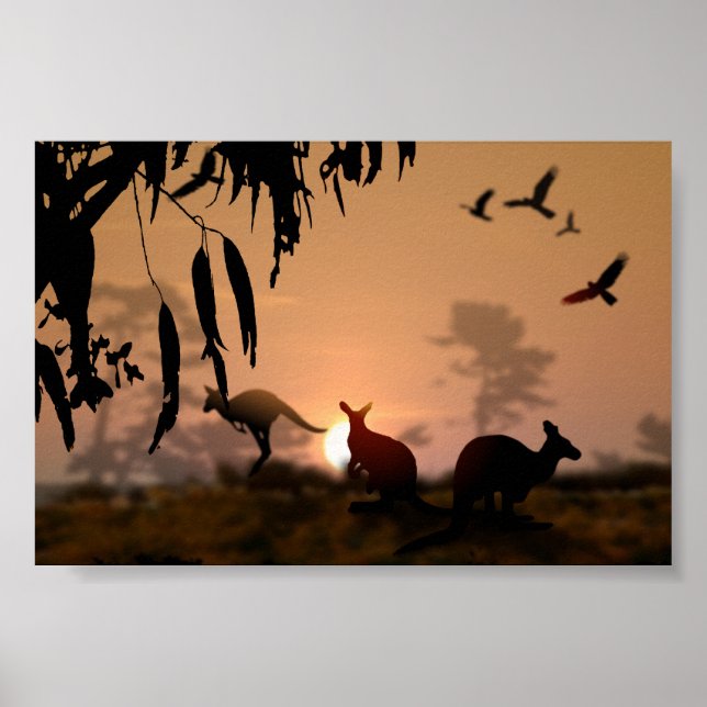 Poster Kangaroos (Devant)