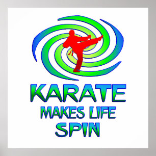 Poster Karate Spins