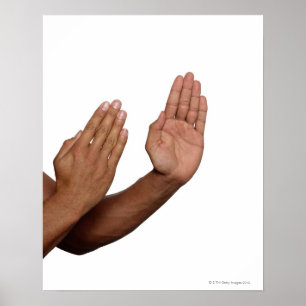 Poster Karate Stance 2