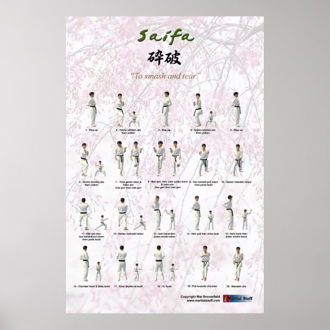 Poster Kata Saifa - Goju Ryu version (Devant)