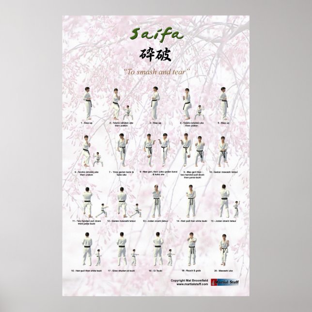 Poster Kata Saifa - version GKR (Devant)