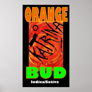 POSTER KATRINA ORANGE BUD