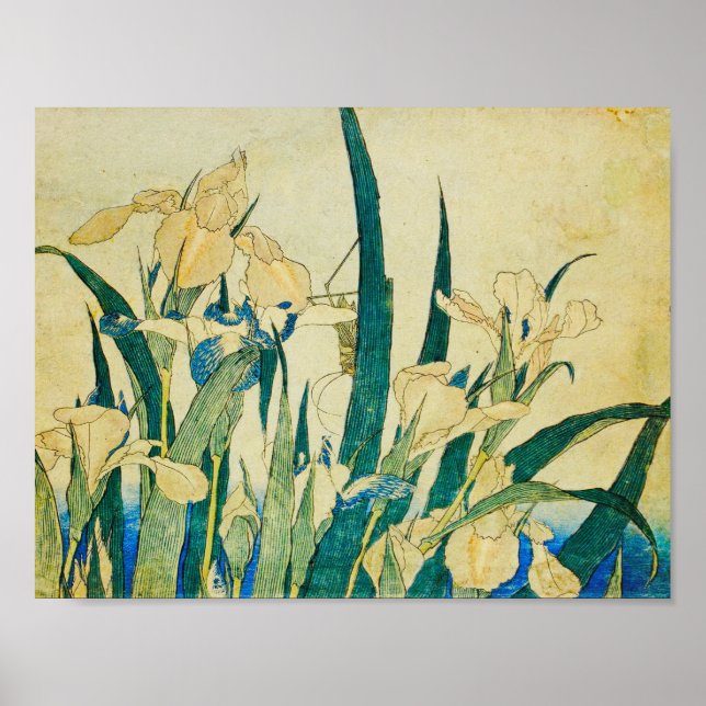 Poster Katsushika Hokusai-Blossoming Irises and Grasshopp (Devant)