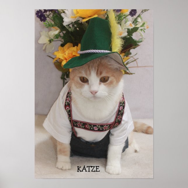 Poster KATZE/CAT Drôle Chat allemand (Devant)