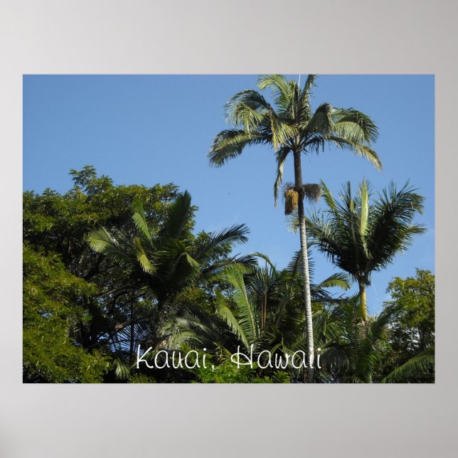 Poster Kauai, Hawaii (Devant)