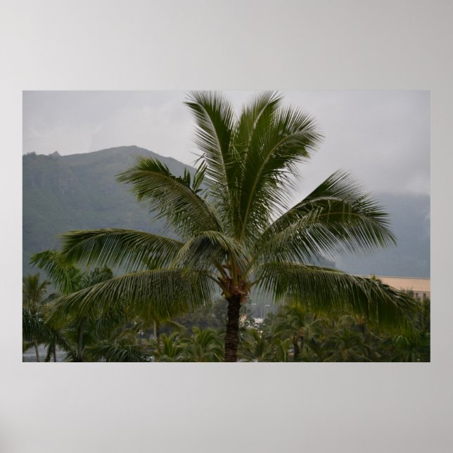 Poster Kauai Hawaii Palm Tree (Devant)