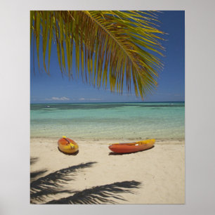 Poster Kayaks sur la plage, Plantation Island Resort