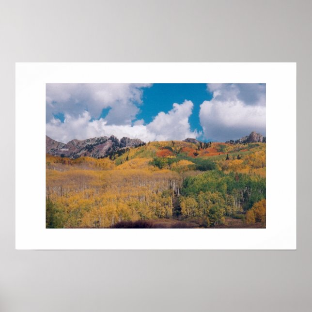 Poster Kebler Pass Automne 2001 (Devant)