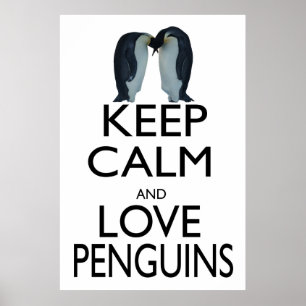 Poster Keep Calm and Love Penguins