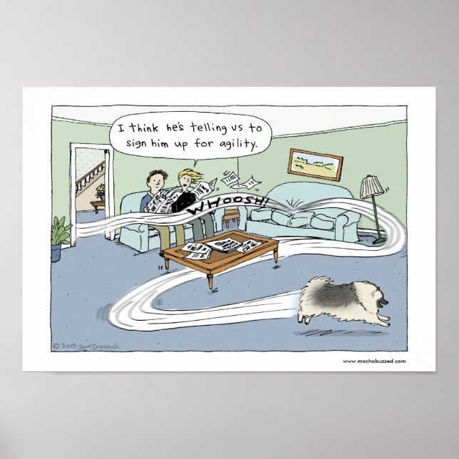 Poster Keeshond "Agilité du salon" (Devant)