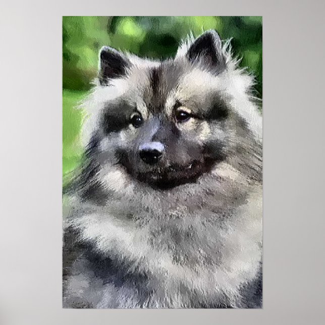 Poster Keeshond Cadeaux Imprimeries d'art (Devant)