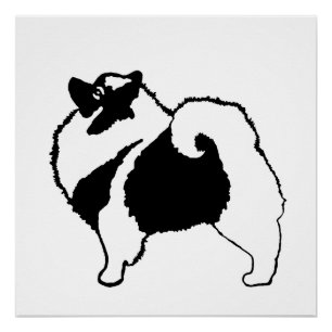 Poster Keeshond Graphics - Cute Original Dog Art
