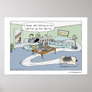 Poster Keeshond "Livingroom Agility"