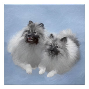 Poster Keeshond Paire de Kees Peinture Art animal origina
