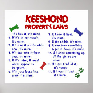 POSTER KEESHOND PL2