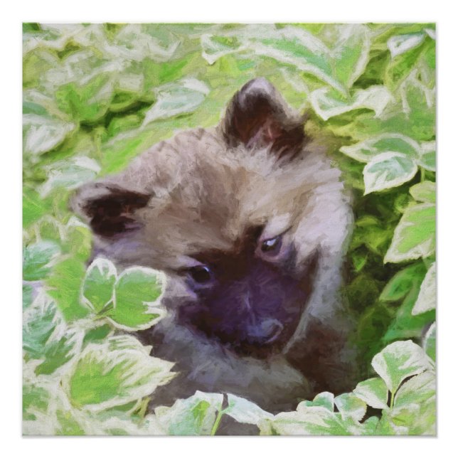 Poster Keeshond Puppy in the Garden Peinture Art original (Devant)