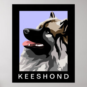 Poster Keeshond Side Portrait