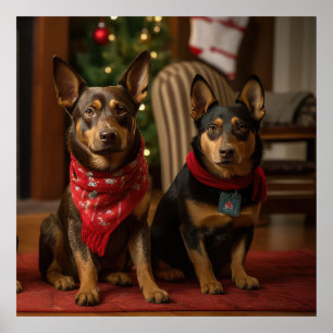 Poster Kelpie australienne près de la cheminée Noël