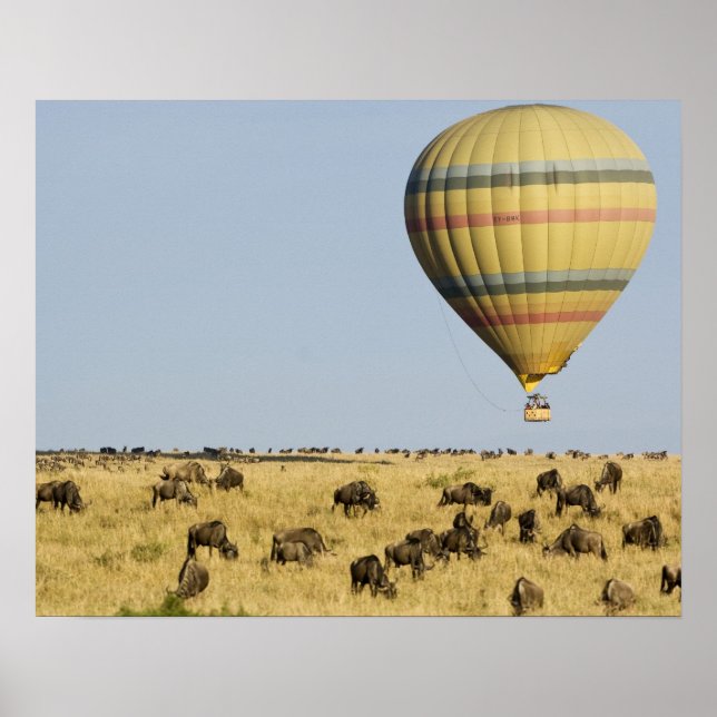 Poster Kenya, Masaï Mara. Touristes en montgolfière (Devant)