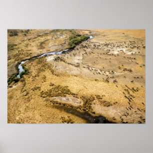 Poster Kenya : Réserve nationale Masai Mara, Mara