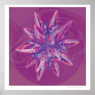 Poster Kepler Finite