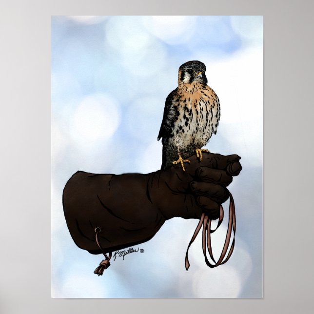 Poster Kestrel on Glove Illustration (Devant)