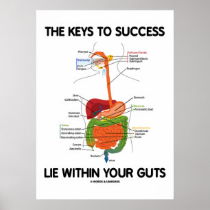 Poster Keys To Success Lie Within Your Guts (Digestive)