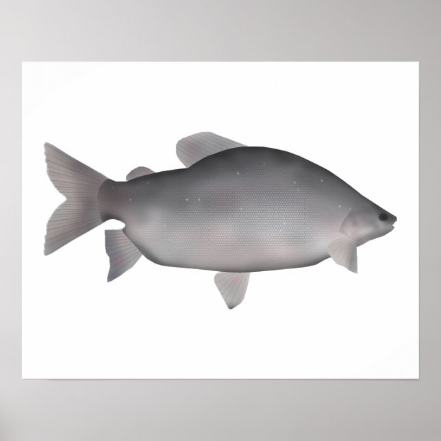 Poster Khraish (Devant)