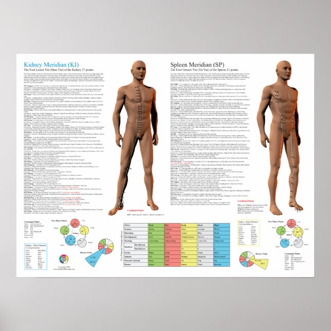 Poster Kidney Meridian Acupuncture Points (Devant)