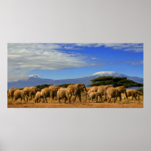 Poster Kilimanjaro et éléphants