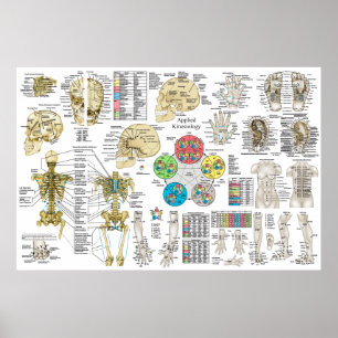 Poster Kinéiologie appliquée Chiropratique Ostéopathe Pos