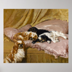 Poster King Charles Spaniels by Arthur Wardle