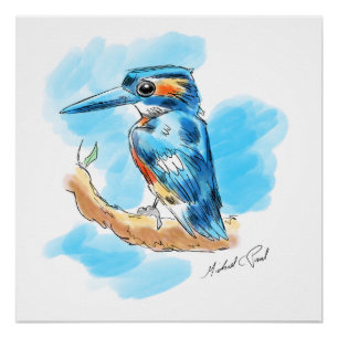 Poster Kingfisher