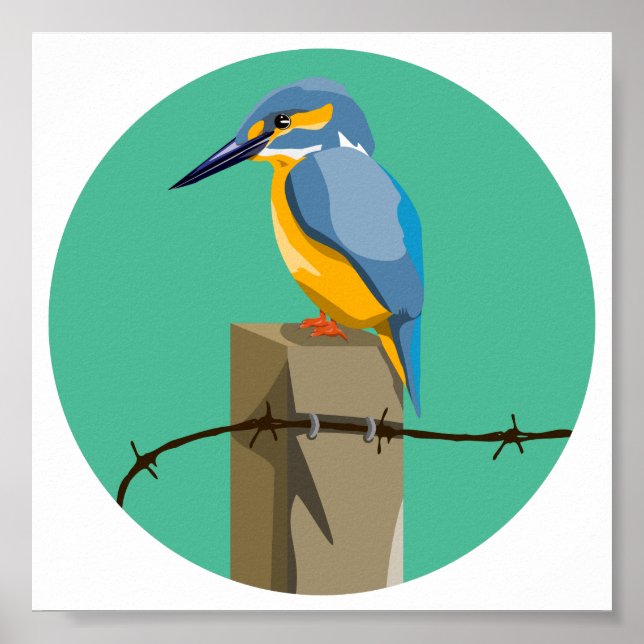 Poster Kingfisher (Devant)